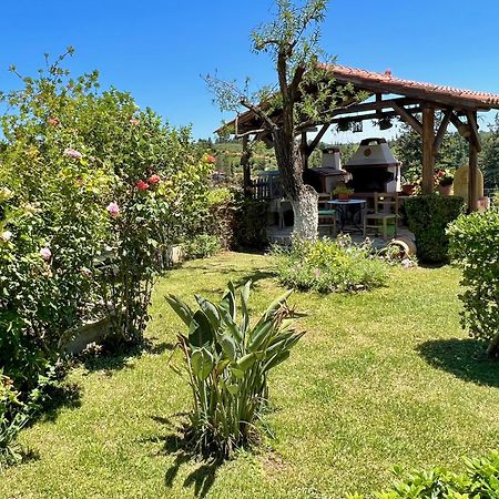 Villa Toula With Pool Nr Armeni Crete Makhairoí エクステリア 写真