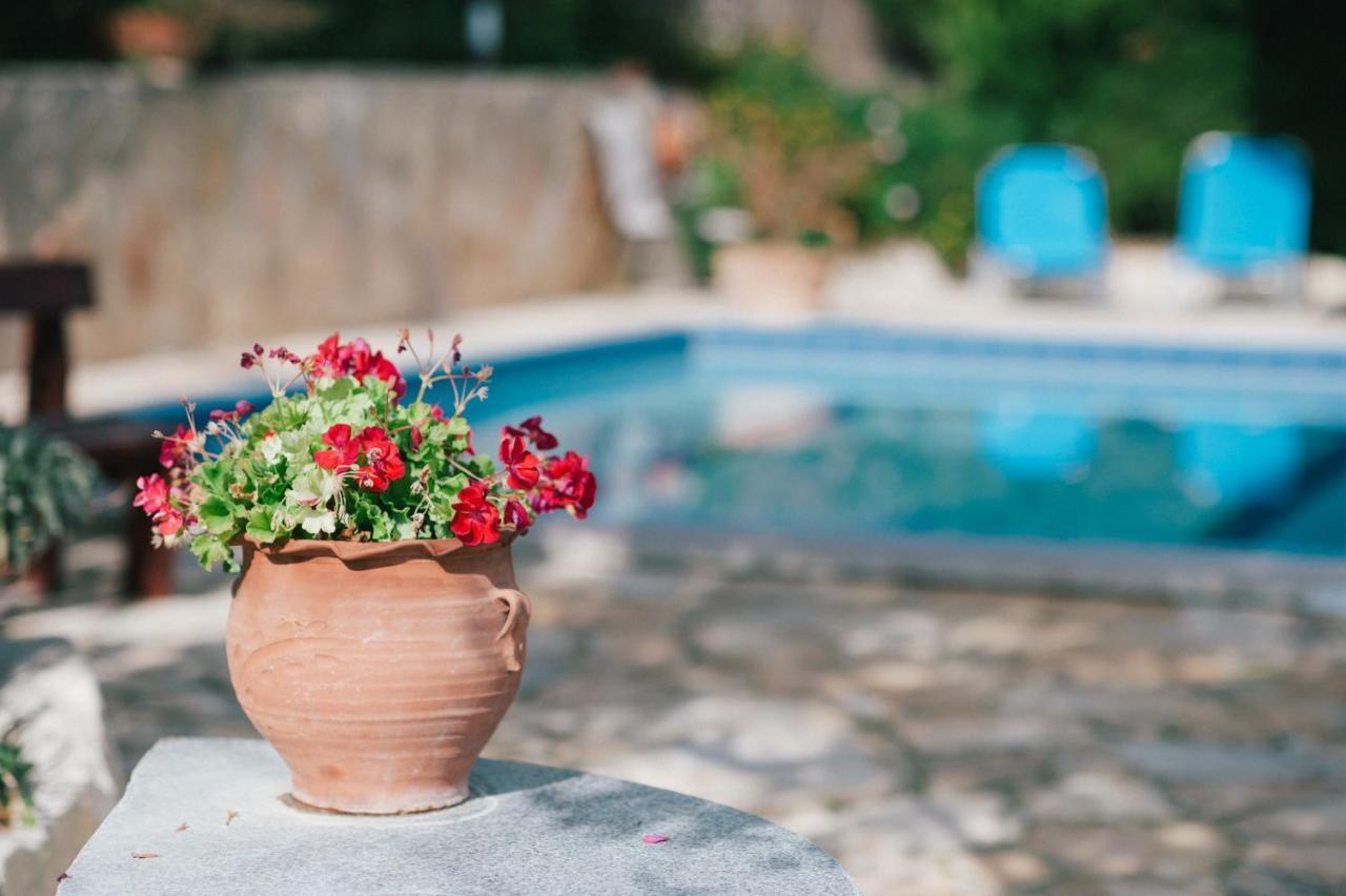Villa Toula With Pool Nr Armeni Crete Makhairoí エクステリア 写真